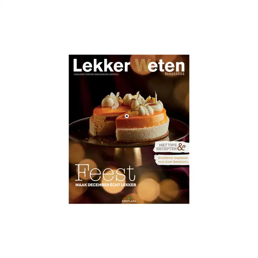 ontwerp-zonder-titel-2025-05-06t161605956