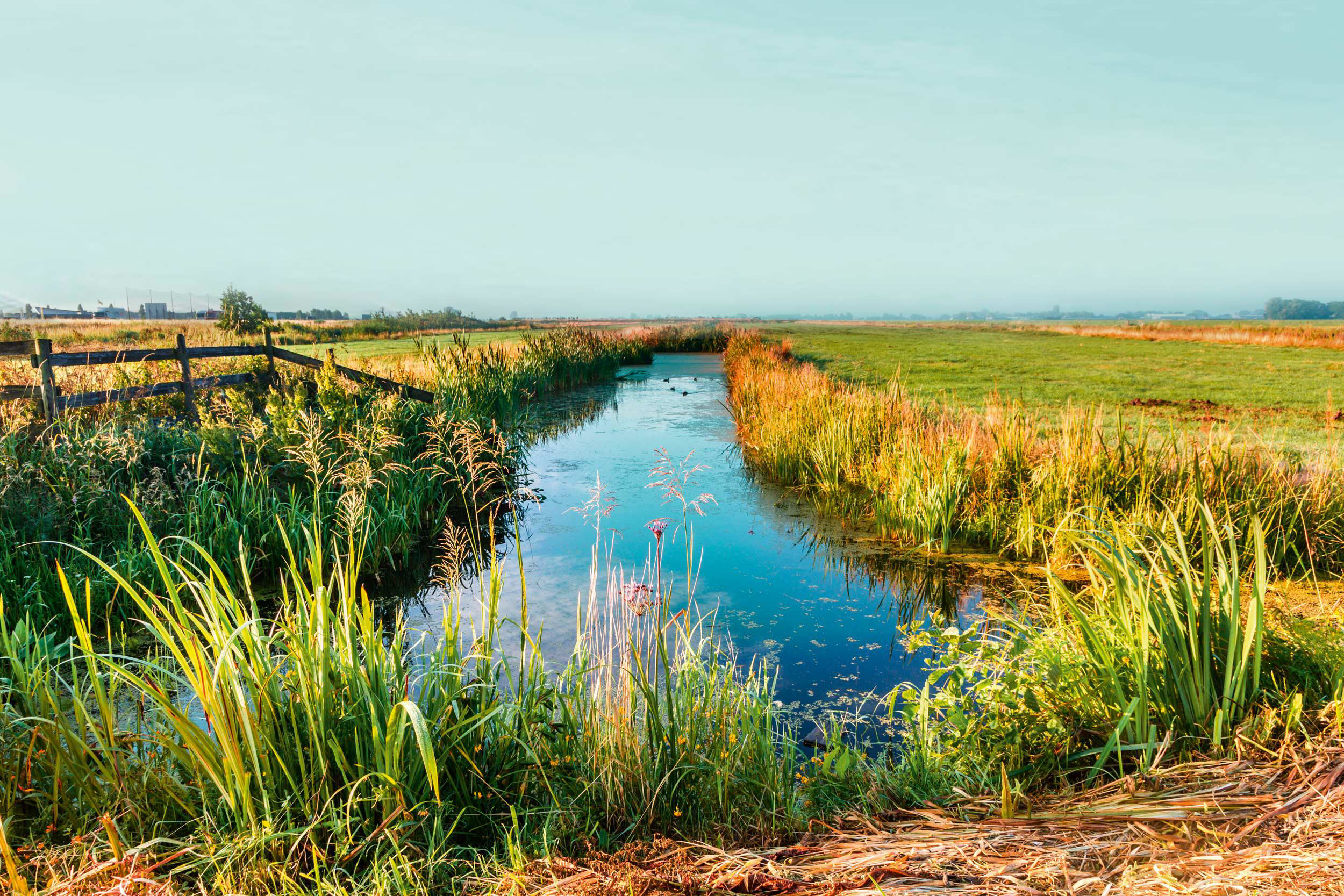 puurnl-landschap