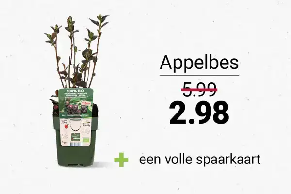 appelbes