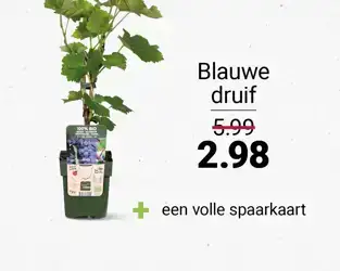tegeltje_packshot_585x460px_fruitstruikjes3_herfst