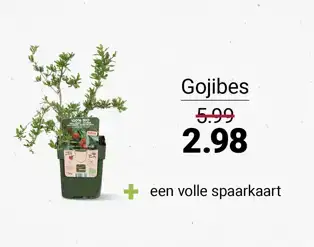 Gojibes Gojibes