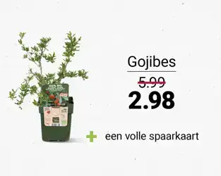 tegeltje_packshot_585x460px_fruitstruikjes6_zomer