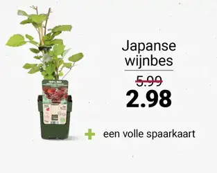 tegeltje_packshot_585x460px_fruitstruikjes4
