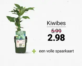tegeltje_packshot_585x460px_fruitstruikjes5