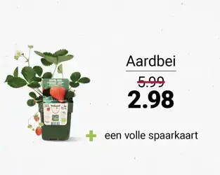 tegeltje_packshot_585x460px_fruitstruikjes