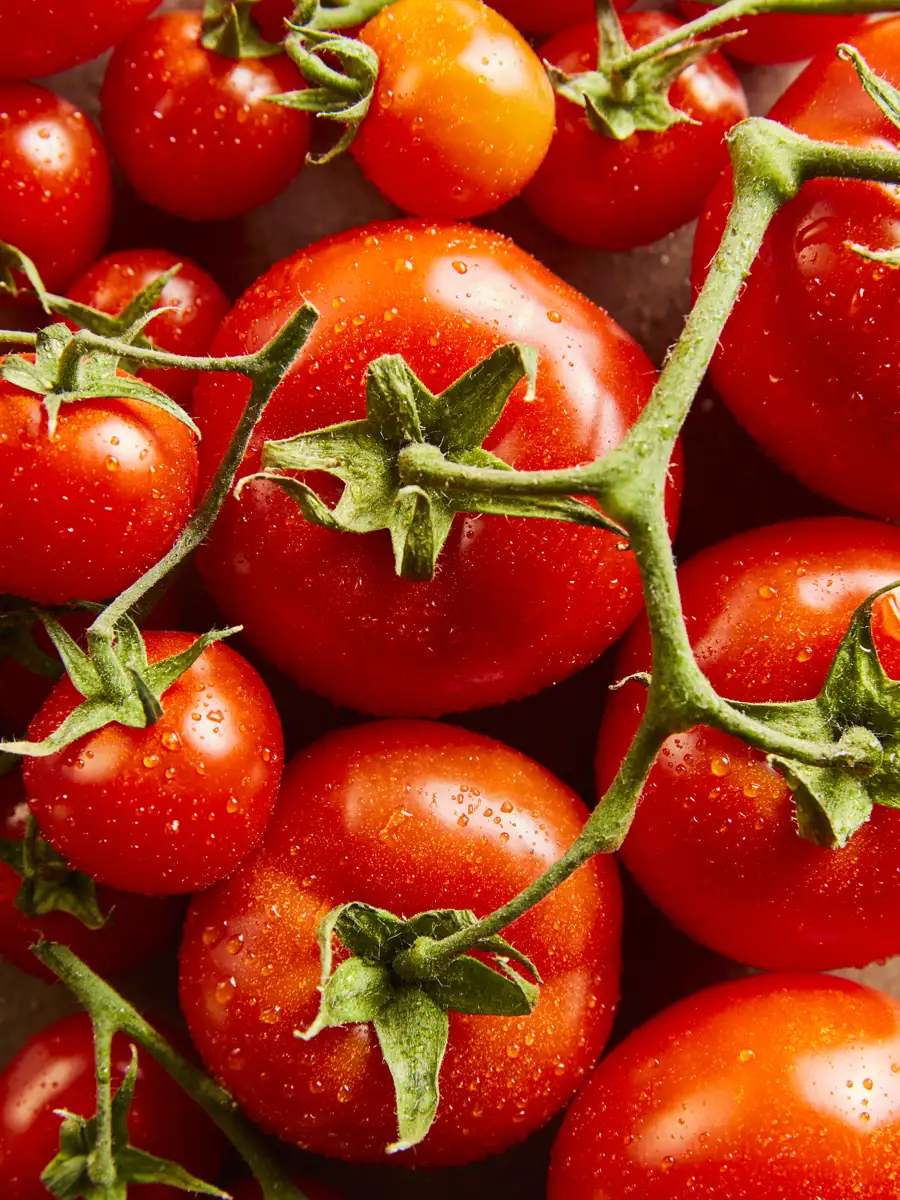 Tomatenkieswijzer: welke tomaat gebruik je waarvoor?
