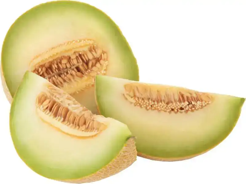 Galiameloen