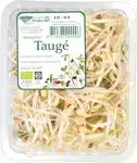 Taugé
