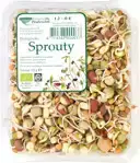 Sprouty kiemen