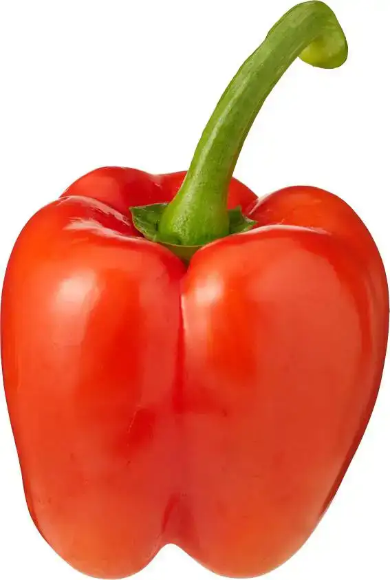 Rode paprika