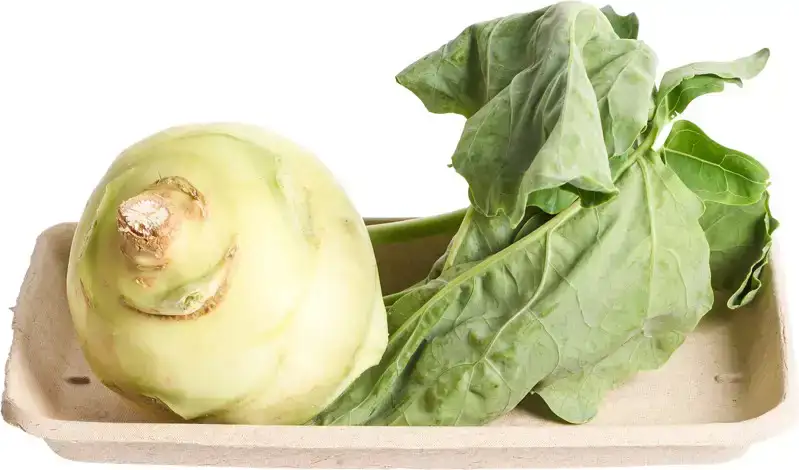 Koolrabi