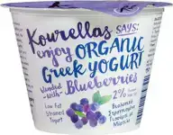 Yoghurt Grieks blauwe bes