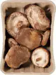 Shiitake
