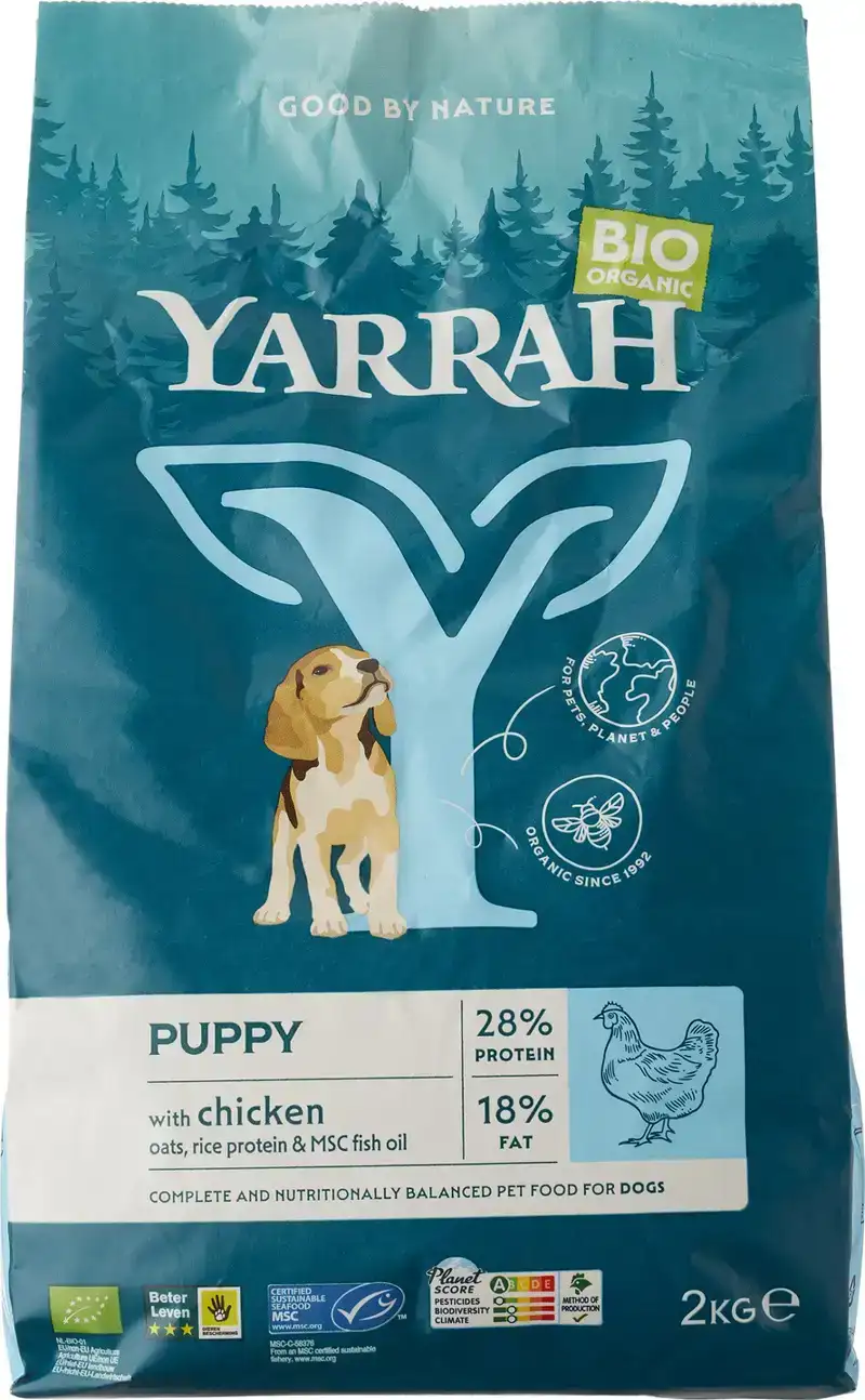 Hondenbrokken puppy