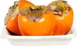 Kaki