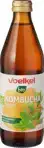 Kombucha original