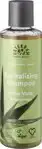 Shampoo aloë vera
