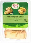 Mini loempia's China