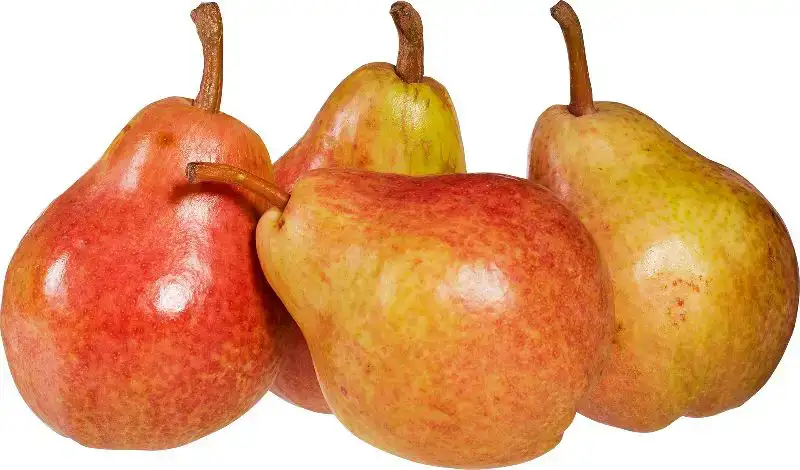 Gieser Wildeman peren (stoofperen)