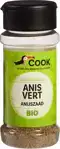 Anijszaad