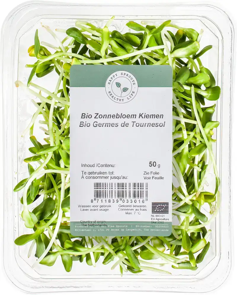 Zonnebloem kiemen
