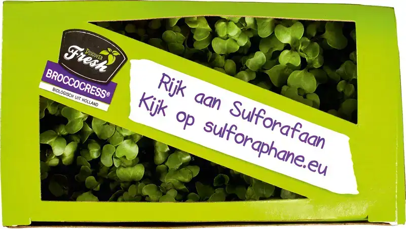 BroccoCress