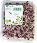 Sango