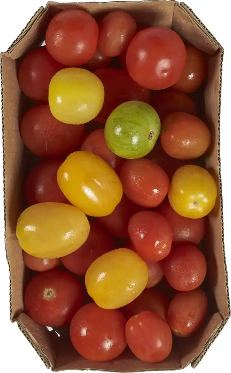 Snacktomaten mix