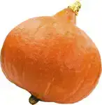 Oranje pompoen