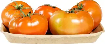 Coeur de Boeuf tomaten
