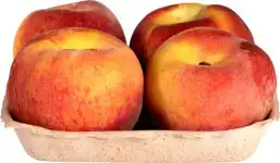 Perziken