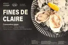 Fine de Claire oesters