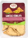 Samosa's himalaya