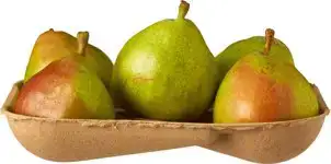 Anjou peren