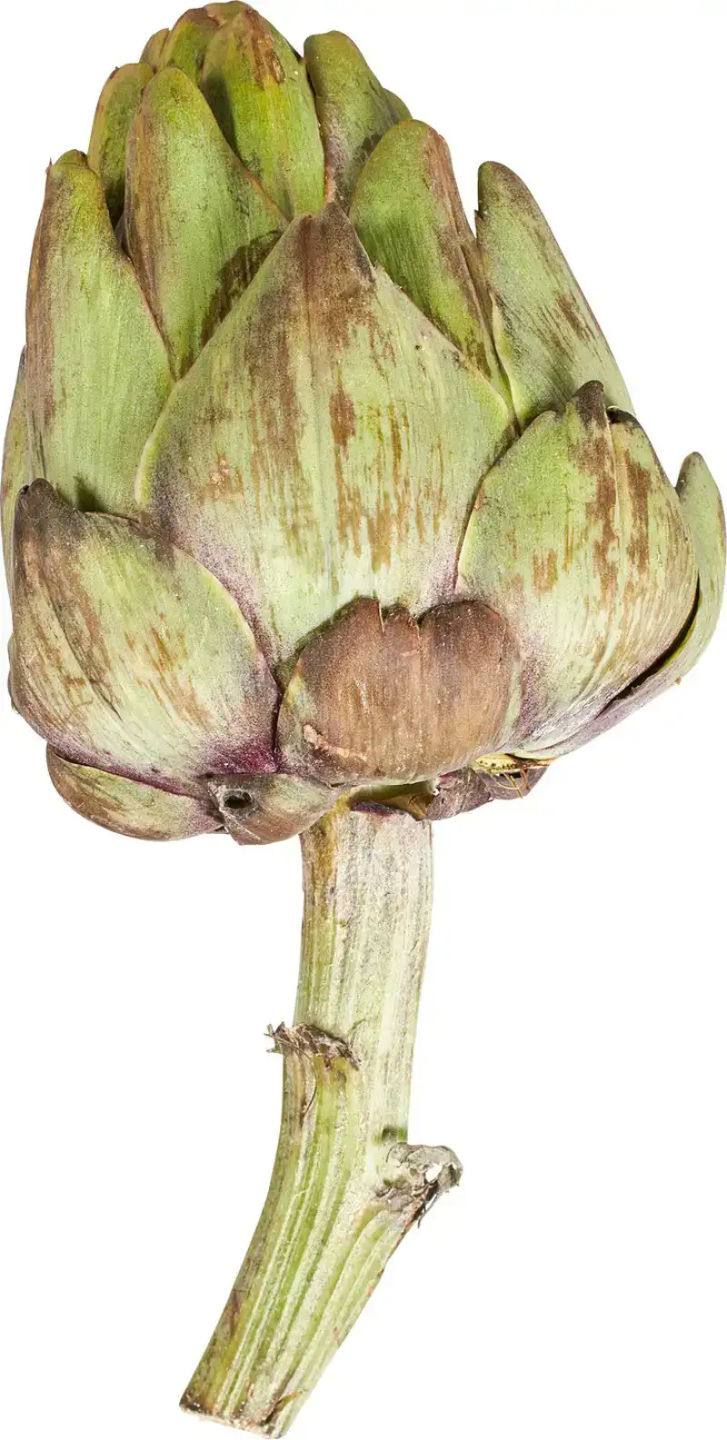 Artisjok