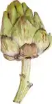 Artisjok