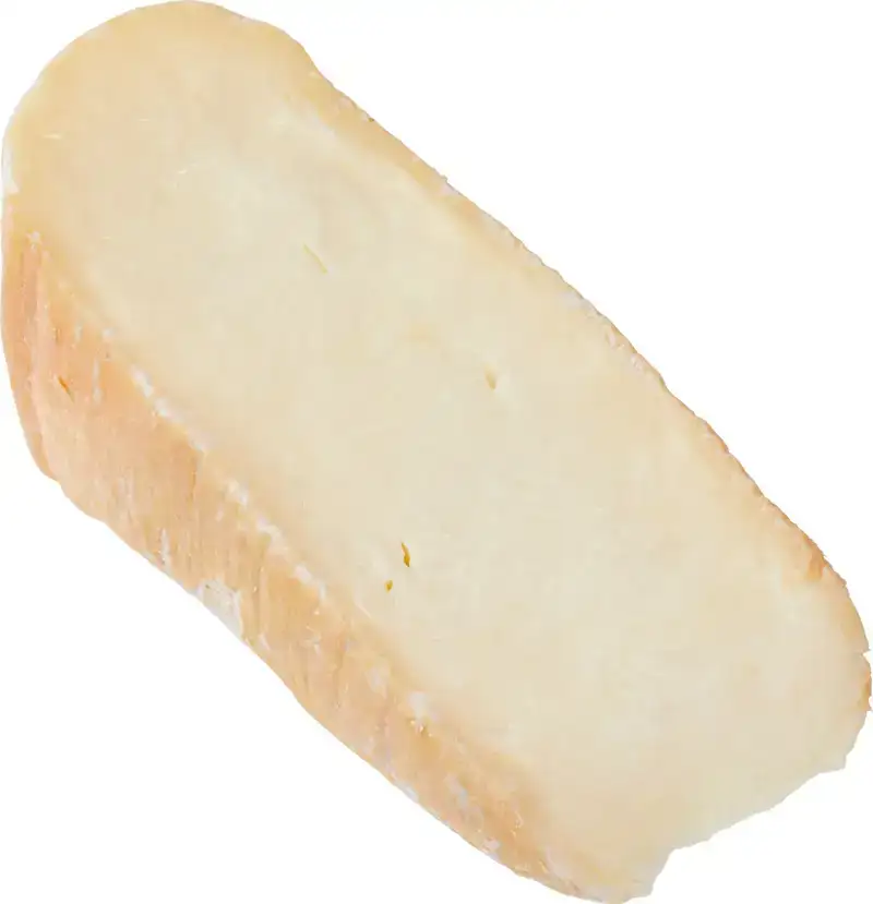 Taleggio