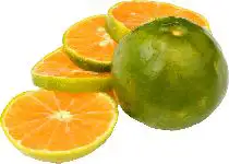 Mandarijnen