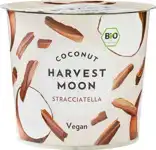 Plantaardige variatie op yoghurt kokos - stracciatella