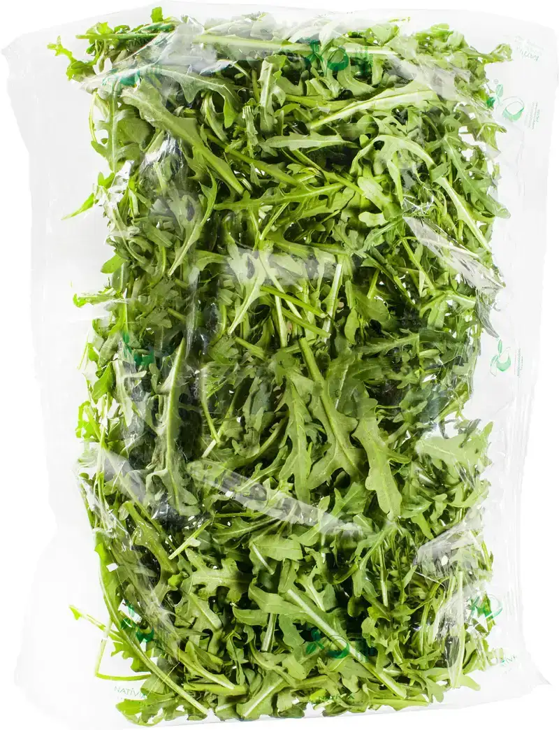 Rucola