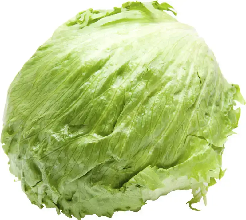IJsbergsla
