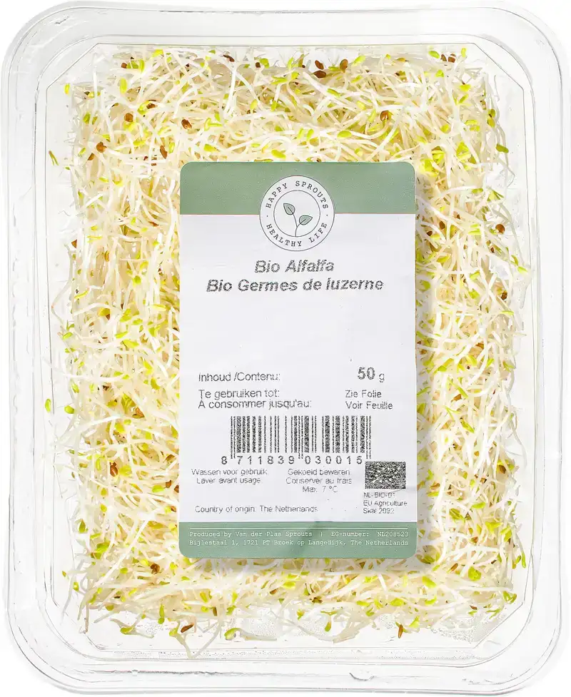 Alfalfa
