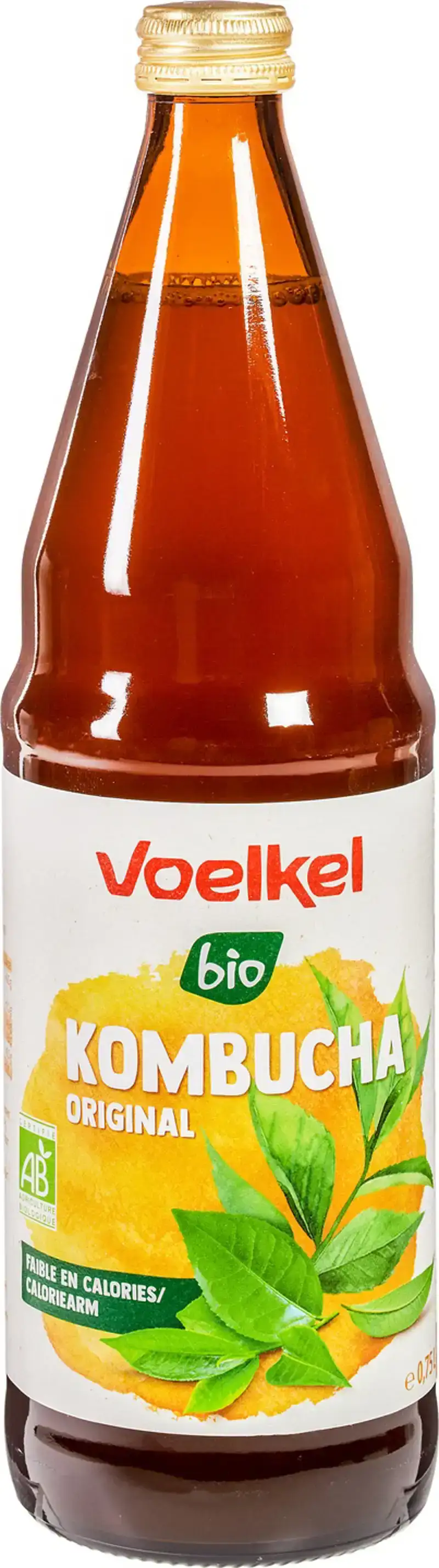 Kombucha
