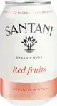 Frisdrank red fruits