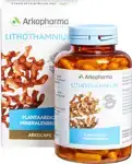 Lithothamnium