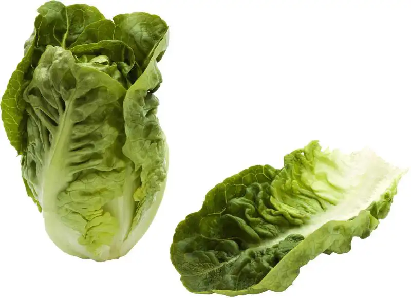 Bindsla (little gem)