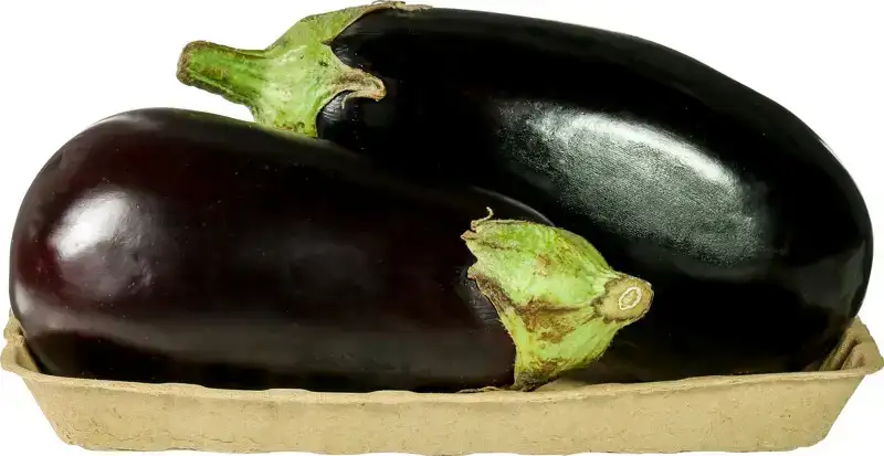 Aubergine