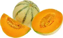 Cantaloupe meloen