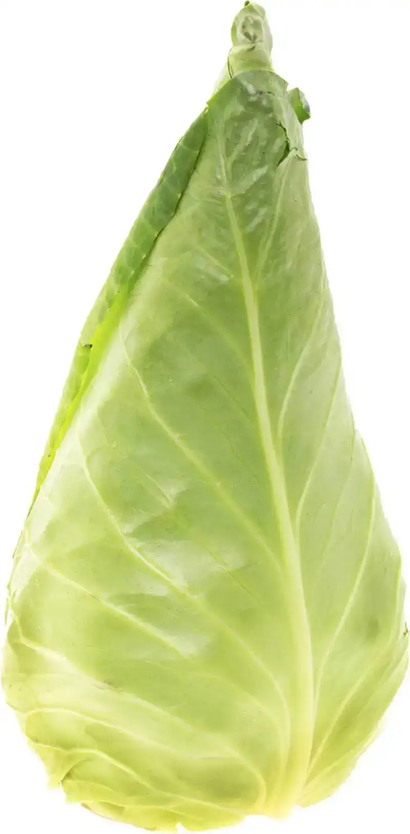 Spitskool