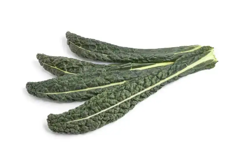 Cavolo nero (palmkool)
